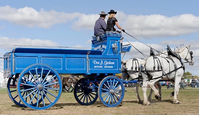 Working Wagon Teams Show