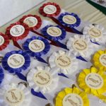 Fair Ribbons