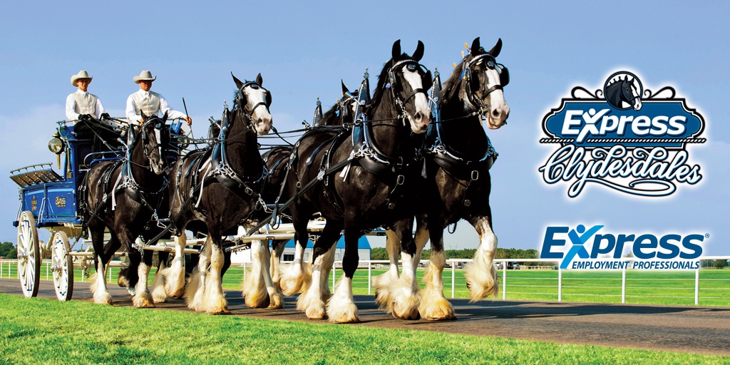 Express Clydesdales