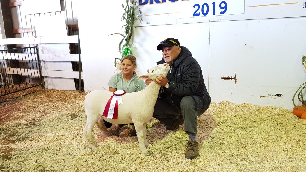 2019 Champion Feeder Club Lamb