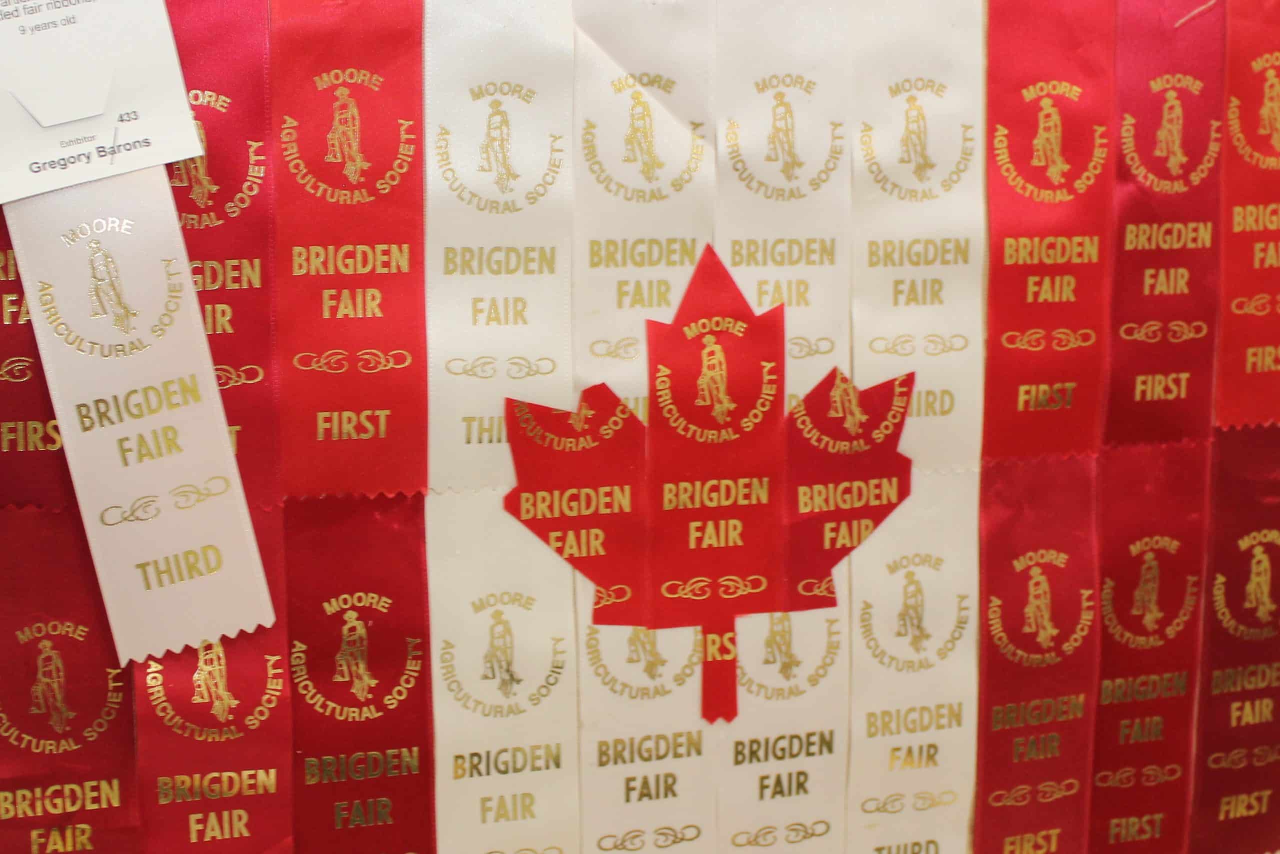 Canadian Flag made using fair prize ribbons