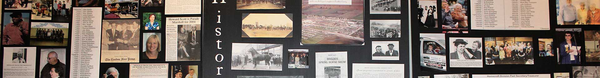 Province’s first-ever Speckle Park Cattle Show held at Brigden Fair 2014