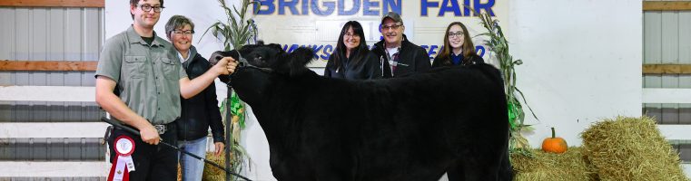 2019 Brigden Fair Livestock Auction