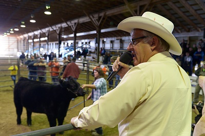 Beef/Hog/Lamb Auction