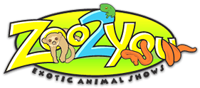 Zoo2You Logo